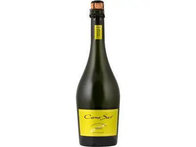 Cono Sur Brut